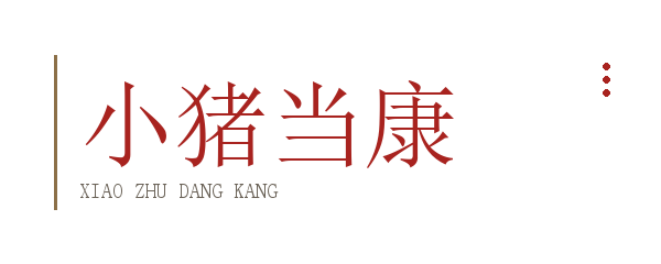 小猪当康